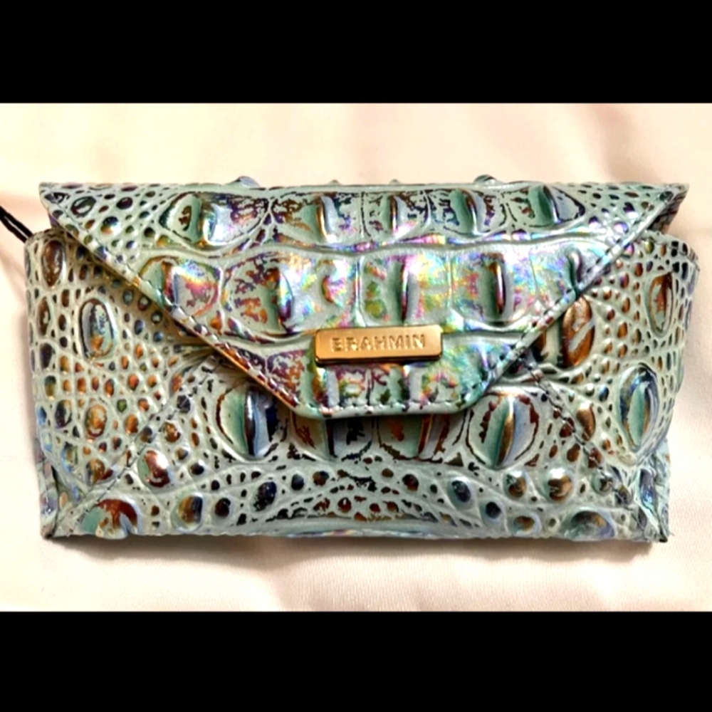 COPY - 🌺Brahmin Wonderland Melbourne Eyeglass Cas